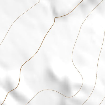 31107NW Page 11 Columbus Topo Preview 3