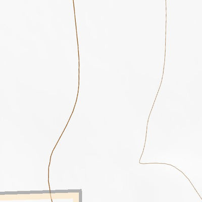 31108NE Page 3 Animas Topo Preview 2