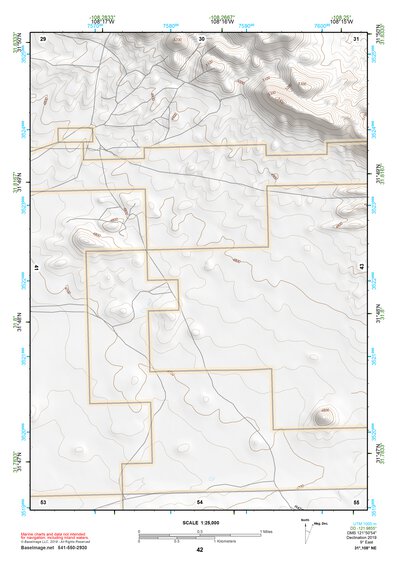 31108NE Page 42 Animas Topo Preview 1
