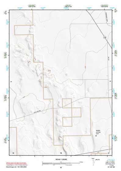 31108NW Page 4 Animas Topo Preview 1