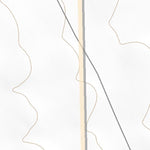 31108NW Page 21 Animas Topo Preview 2