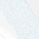 31108NW Page 35 Animas Topo Preview 3