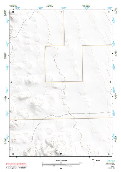 31108NW Page 45 Animas Topo Preview 1