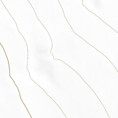 31108NW Page 46 Animas Topo Preview 2