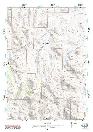 31108NW Page 50 Animas Topo Preview 1