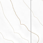 31108NW Page 59 Animas Topo Preview 2
