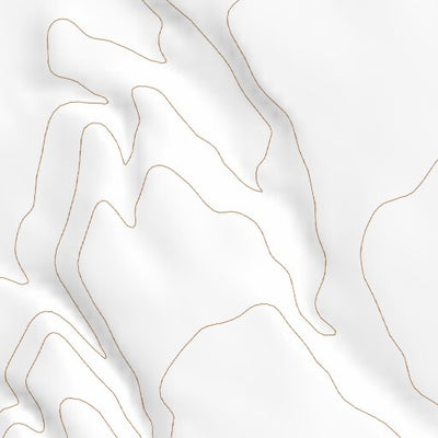 31108NW Page 65 Animas Topo Preview 2