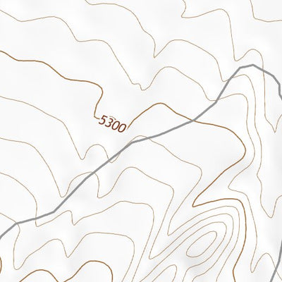 31108NW Page 78 Animas Topo Preview 2