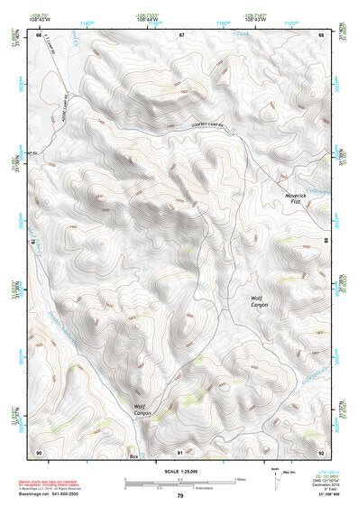 31108NW Page 79 Animas Topo Preview 1