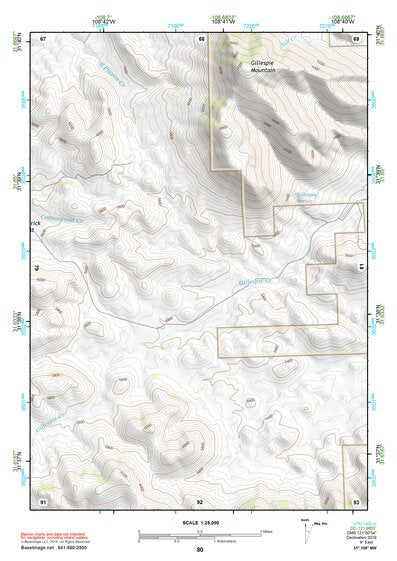 31108NW Page 80 Animas Topo Preview 1