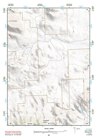 31108NW Page 81 Animas Topo Preview 1