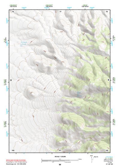 31108NW Page 89 Animas Topo Preview 1