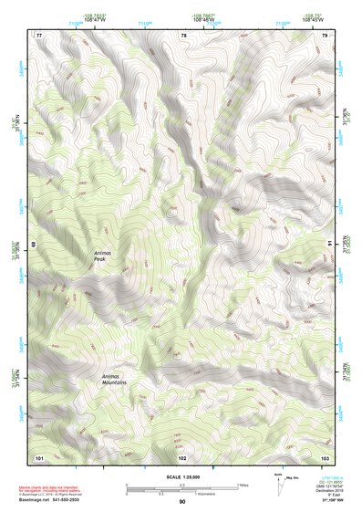 31108NW Page 90 Animas Topo Preview 1