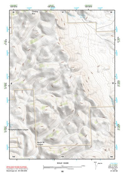 31108NW Page 93 Animas Topo Preview 1