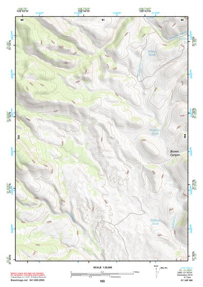 31108NW Page 103 Animas Topo Preview 1