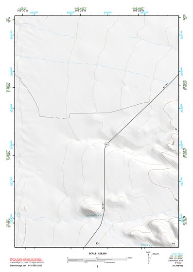 31109NE Page 1 Chiricahua Peak Topo Preview 1