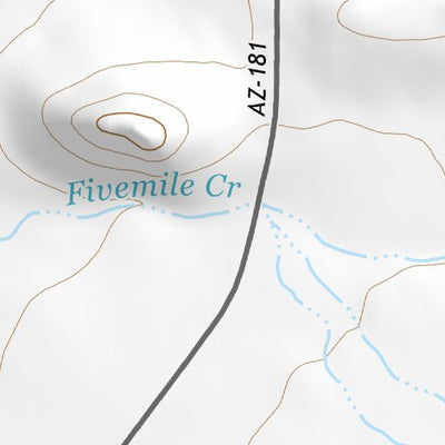 31109NE Page 1 Chiricahua Peak Topo Preview 3