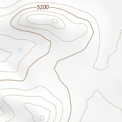 31109NE Page 2 Chiricahua Peak Topo Preview 2
