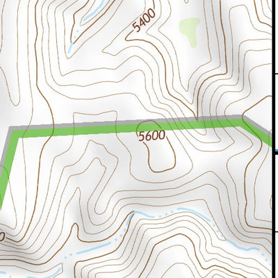 31109NE Page 2 Chiricahua Peak Topo Preview 3