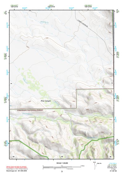 31109NE Page 3 Chiricahua Peak Topo Preview 1