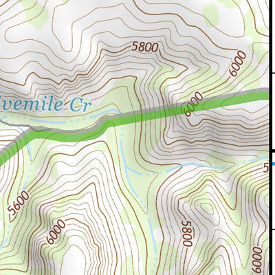 31109NE Page 3 Chiricahua Peak Topo Preview 3