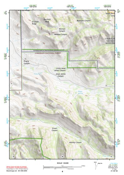 31109NE Page 4 Chiricahua Peak Topo Preview 1