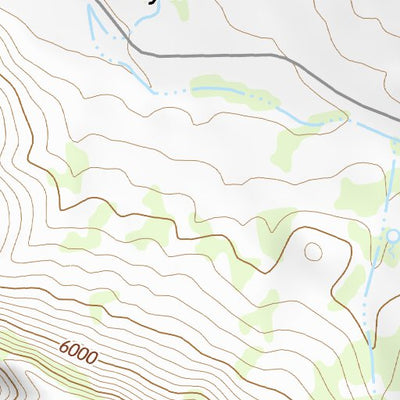 31109NE Page 4 Chiricahua Peak Topo Preview 2