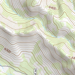 31109NE Page 4 Chiricahua Peak Topo Preview 3