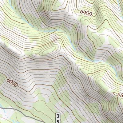 31109NE Page 4 Chiricahua Peak Topo Preview 3