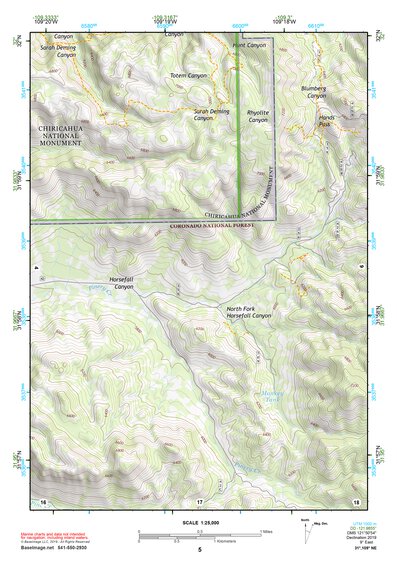 31109NE Page 5 Chiricahua Peak Topo Preview 1