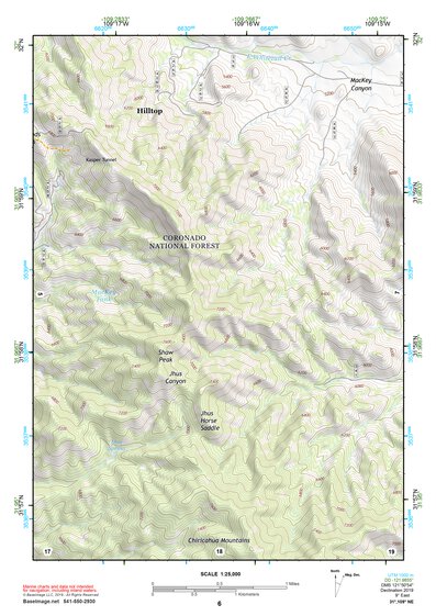 31109NE Page 6 Chiricahua Peak Topo Preview 1
