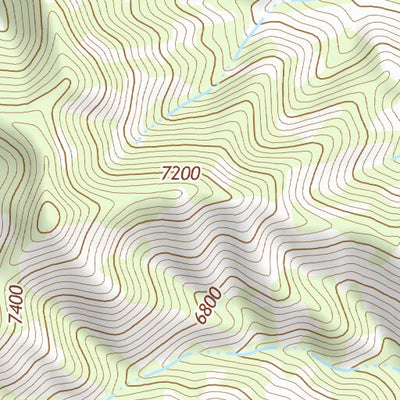 31109NE Page 6 Chiricahua Peak Topo Preview 2