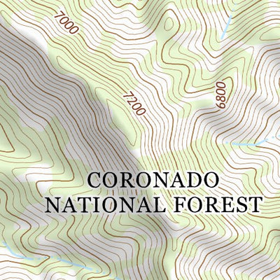 31109NE Page 6 Chiricahua Peak Topo Preview 3