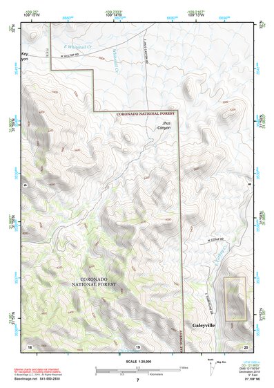 31109NE Page 7 Chiricahua Peak Topo Preview 1