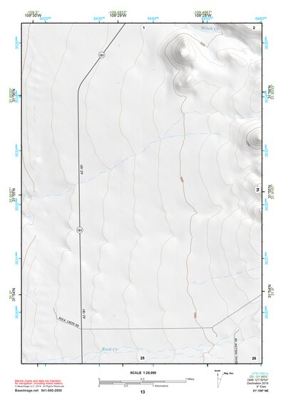 31109NE Page 13 Chiricahua Peak Topo Preview 1