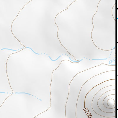 31109NE Page 13 Chiricahua Peak Topo Preview 3