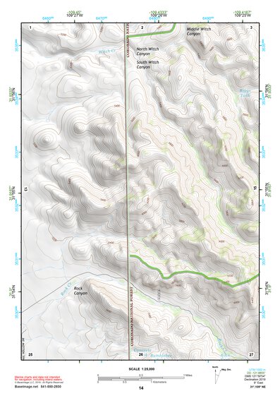 31109NE Page 14 Chiricahua Peak Topo Preview 1