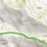 31109NE Page 14 Chiricahua Peak Topo Preview 3