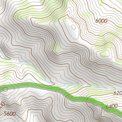 31109NE Page 14 Chiricahua Peak Topo Preview 3