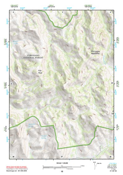 31109NE Page 15 Chiricahua Peak Topo Preview 1