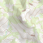 31109NE Page 15 Chiricahua Peak Topo Preview 2