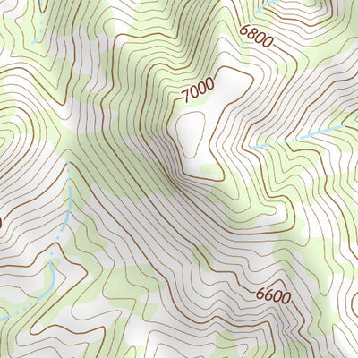 31109NE Page 15 Chiricahua Peak Topo Preview 2