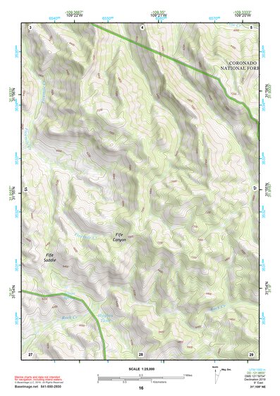 31109NE Page 16 Chiricahua Peak Topo Preview 1