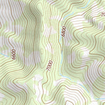 31109NE Page 16 Chiricahua Peak Topo Preview 2