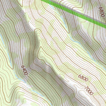 31109NE Page 16 Chiricahua Peak Topo Preview 3