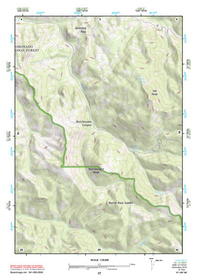 31109NE Page 17 Chiricahua Peak Topo Preview 1