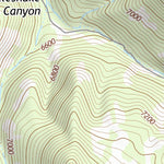 31109NE Page 17 Chiricahua Peak Topo Preview 2