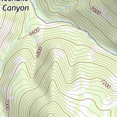 31109NE Page 17 Chiricahua Peak Topo Preview 2