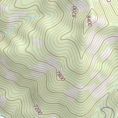31109NE Page 17 Chiricahua Peak Topo Preview 3