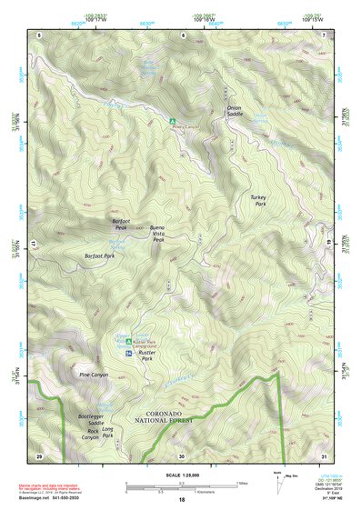 31109NE Page 18 Chiricahua Peak Topo Preview 1